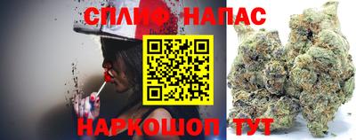 трава Славгород